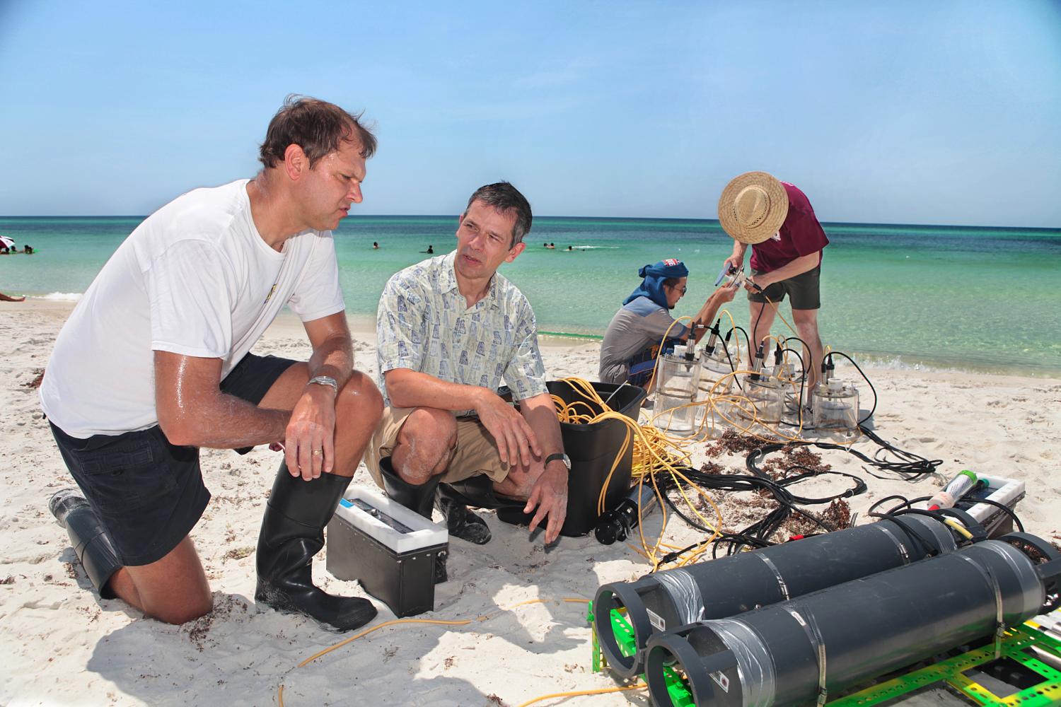 Four researchers assemble scientific instruments at the beach, sweating under the hot sun. The water is crystal clear.